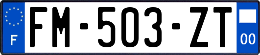 FM-503-ZT