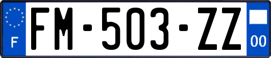 FM-503-ZZ