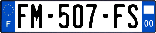 FM-507-FS