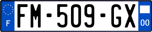 FM-509-GX