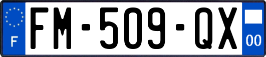 FM-509-QX
