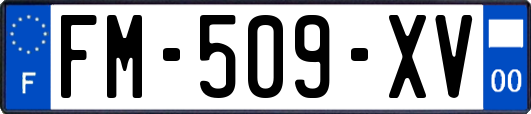FM-509-XV