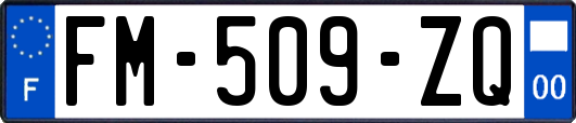 FM-509-ZQ