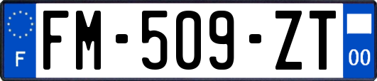 FM-509-ZT