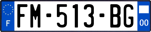 FM-513-BG
