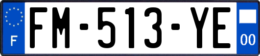 FM-513-YE