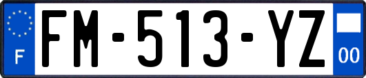 FM-513-YZ