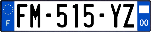 FM-515-YZ