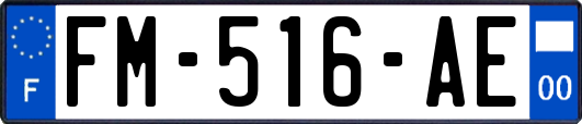 FM-516-AE