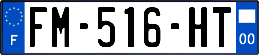 FM-516-HT