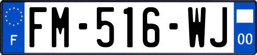FM-516-WJ