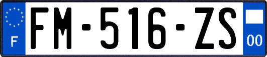 FM-516-ZS