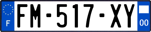 FM-517-XY