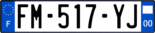 FM-517-YJ