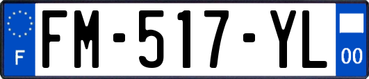FM-517-YL