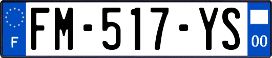 FM-517-YS