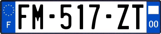 FM-517-ZT