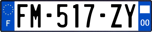 FM-517-ZY