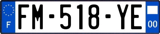 FM-518-YE