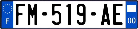 FM-519-AE