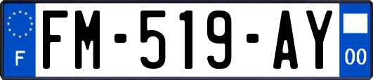 FM-519-AY