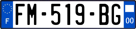 FM-519-BG