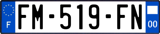 FM-519-FN