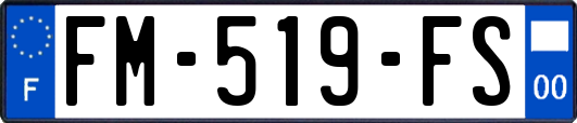 FM-519-FS
