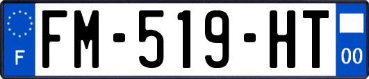 FM-519-HT
