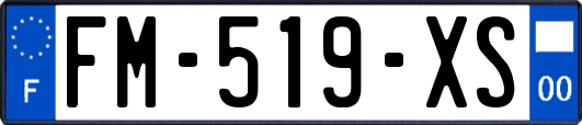 FM-519-XS