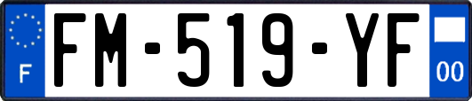 FM-519-YF