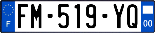 FM-519-YQ