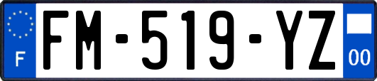 FM-519-YZ