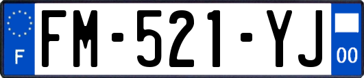 FM-521-YJ