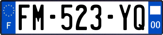 FM-523-YQ