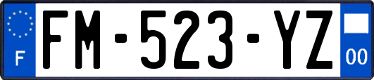 FM-523-YZ