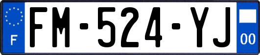 FM-524-YJ