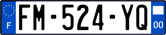 FM-524-YQ
