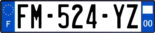 FM-524-YZ
