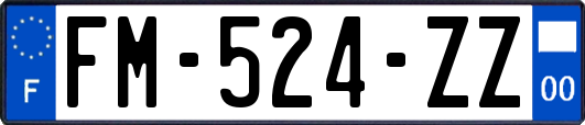 FM-524-ZZ