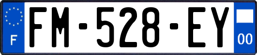 FM-528-EY