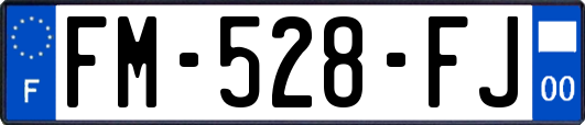 FM-528-FJ