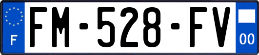 FM-528-FV