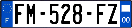 FM-528-FZ