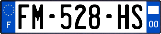 FM-528-HS