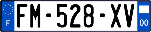 FM-528-XV