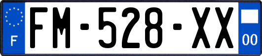 FM-528-XX