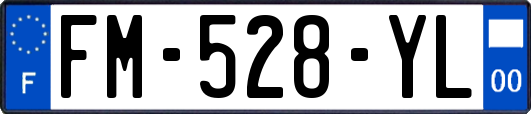 FM-528-YL