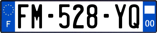 FM-528-YQ