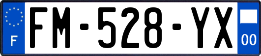 FM-528-YX